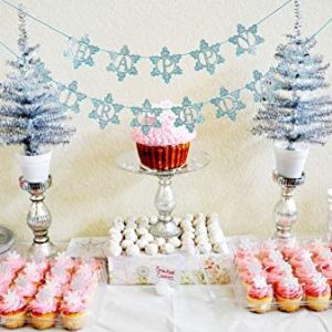 Snow Princess Birthday Banner Winter Birthday Banner 