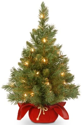 Details about   Factory Direct Craft Group of 2 Artificial Small Pine Christmas Trees with 