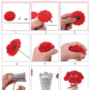 Sewing Project Set Crafts Kits Felt Fabrics Supplies for Kids red Flowers a Bouquet of Carnations for Birthday Gifts Starter kit with All Parts and Accessories Included