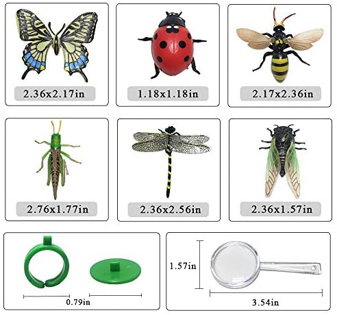 6Pcs Insect Bee Butterfly Dragonfly cicada Model Figure Kids Educational Toys 