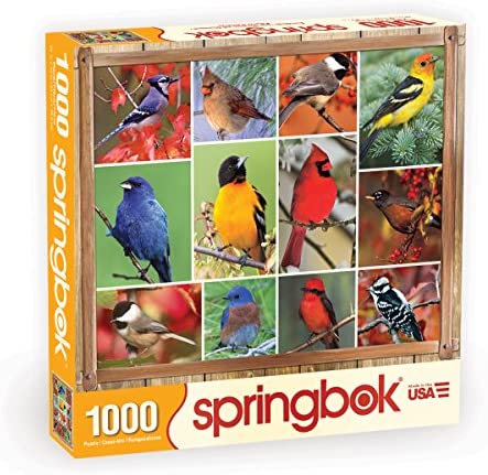 Springboks 1000 Piece Jigsaw Puzzle Songbirds – Made in USA ...