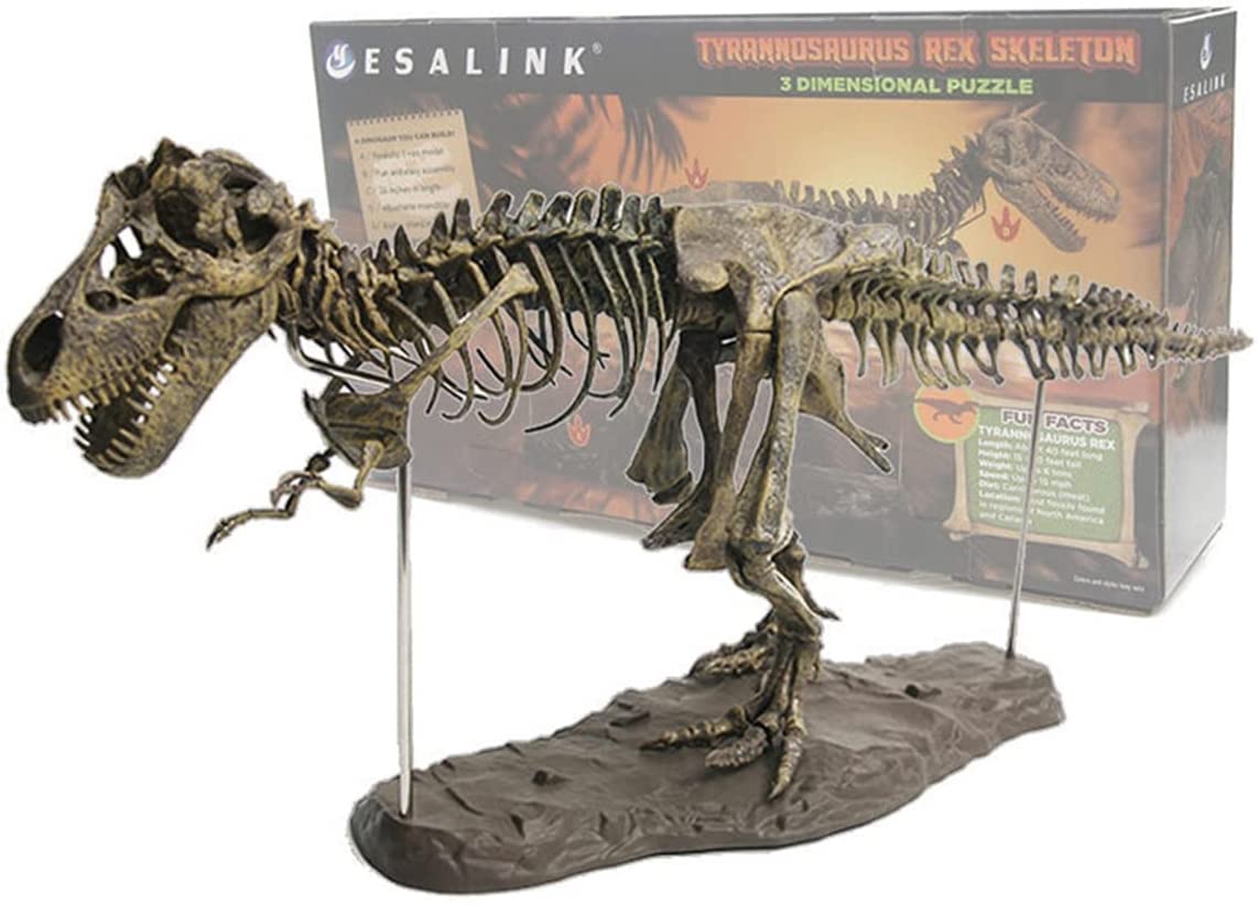 12 pcs Dino Fossil Figure Dinosaur Skeleton Simulation Model Kids Toy Ornaments 