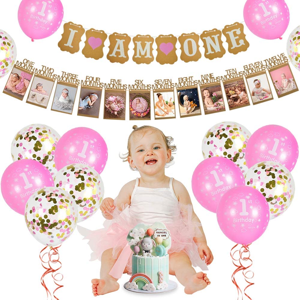 Great Pink and Gold 12 Month Photo Banner First Birthday Decoration Pink Milestone Photo Banner for First Birthday Party 